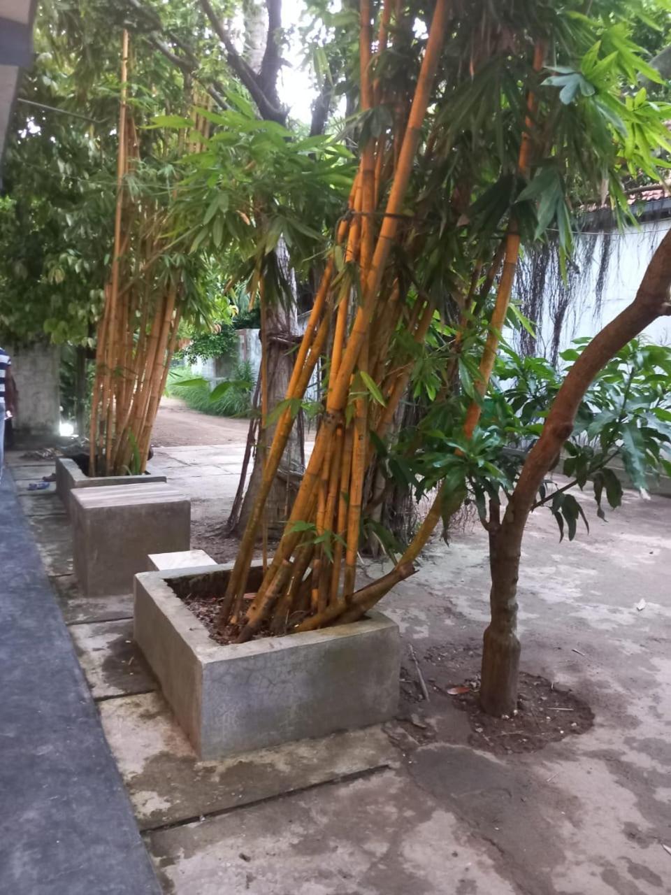 Suninn Hostel And Surf School Weligama Exterior foto